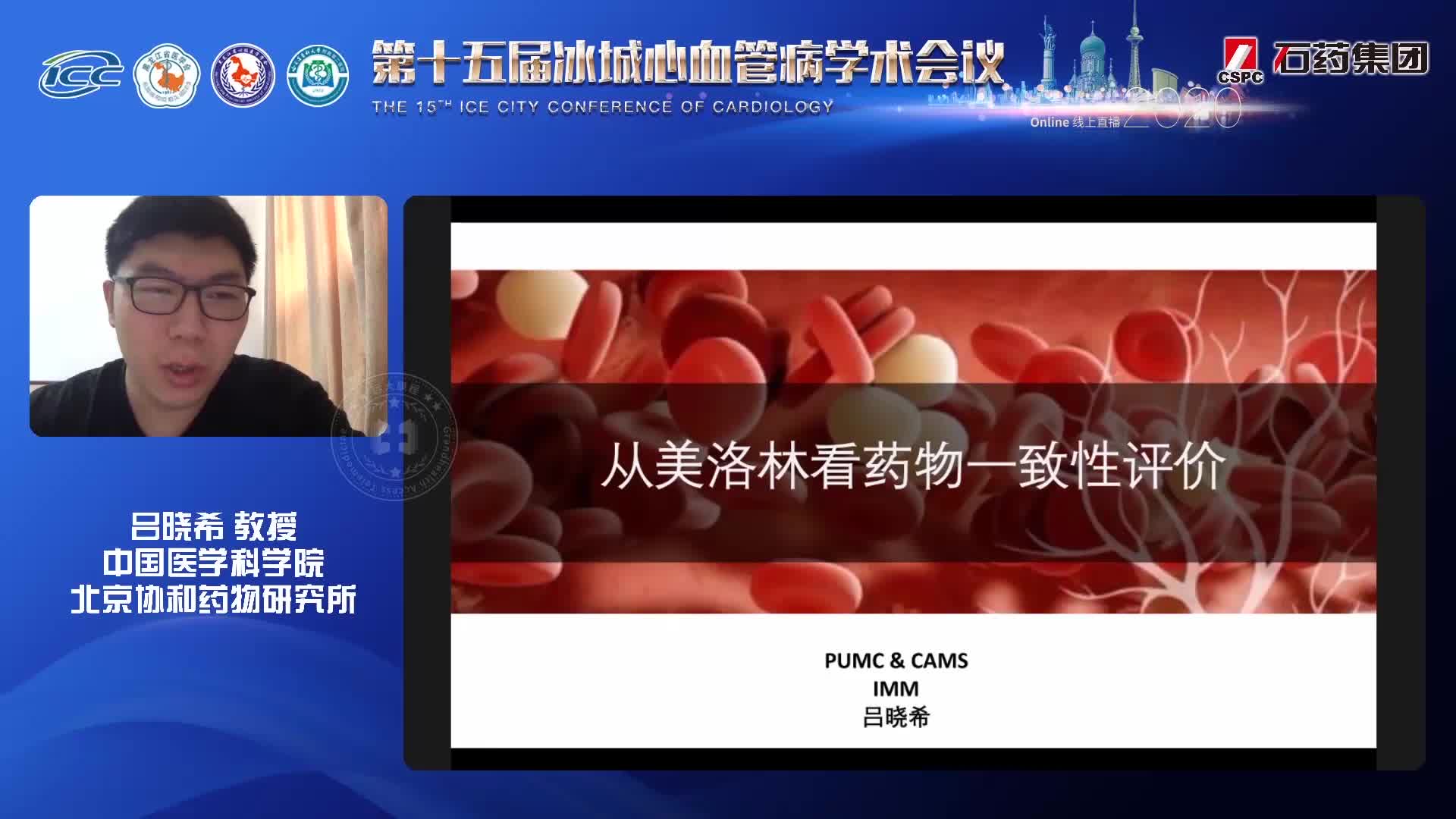 吕晓希 从美洛林看药物一致性评价
