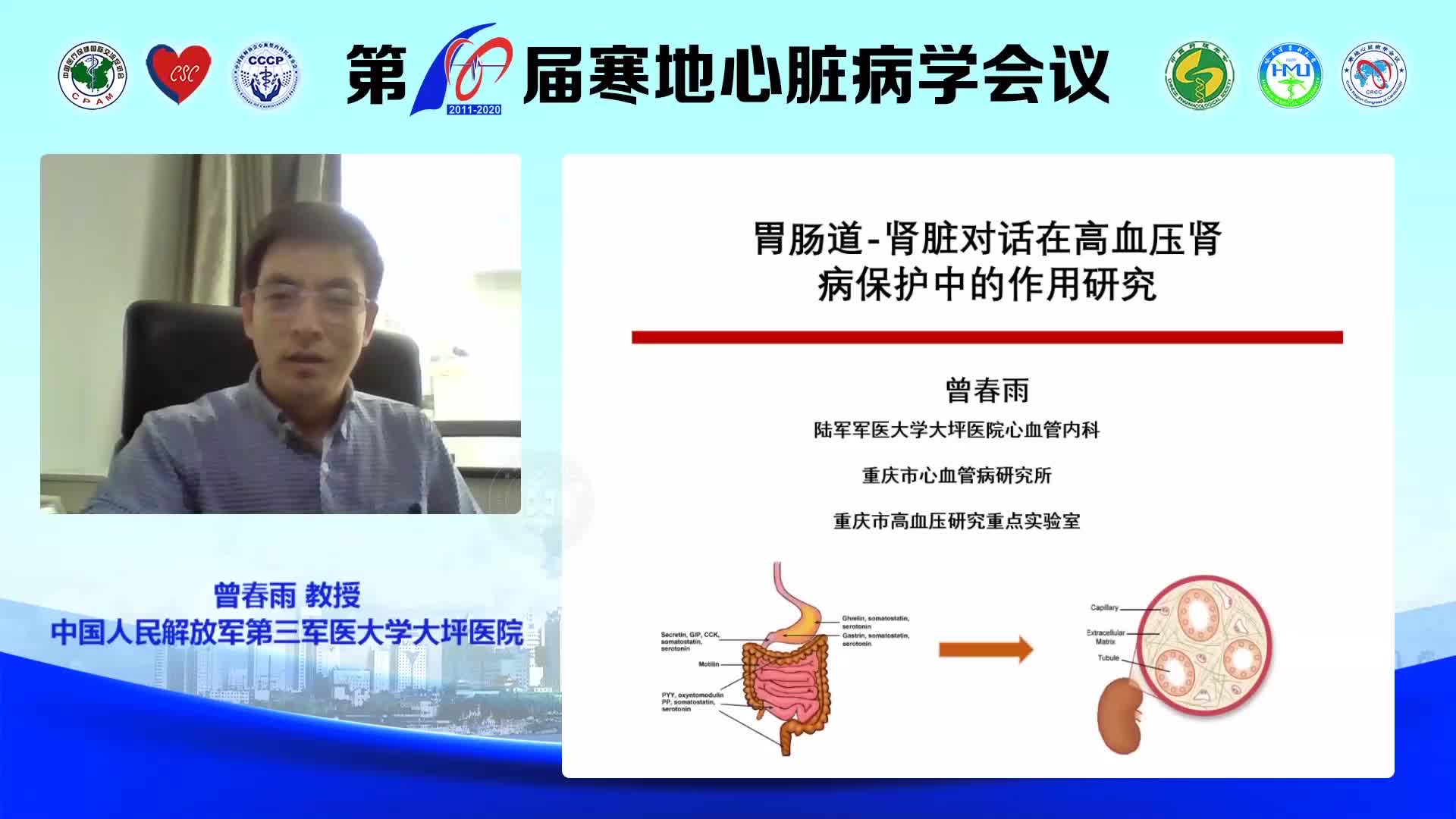 曾春雨-胃肠道-肾脏对话在高血压肾病保护中作用研究