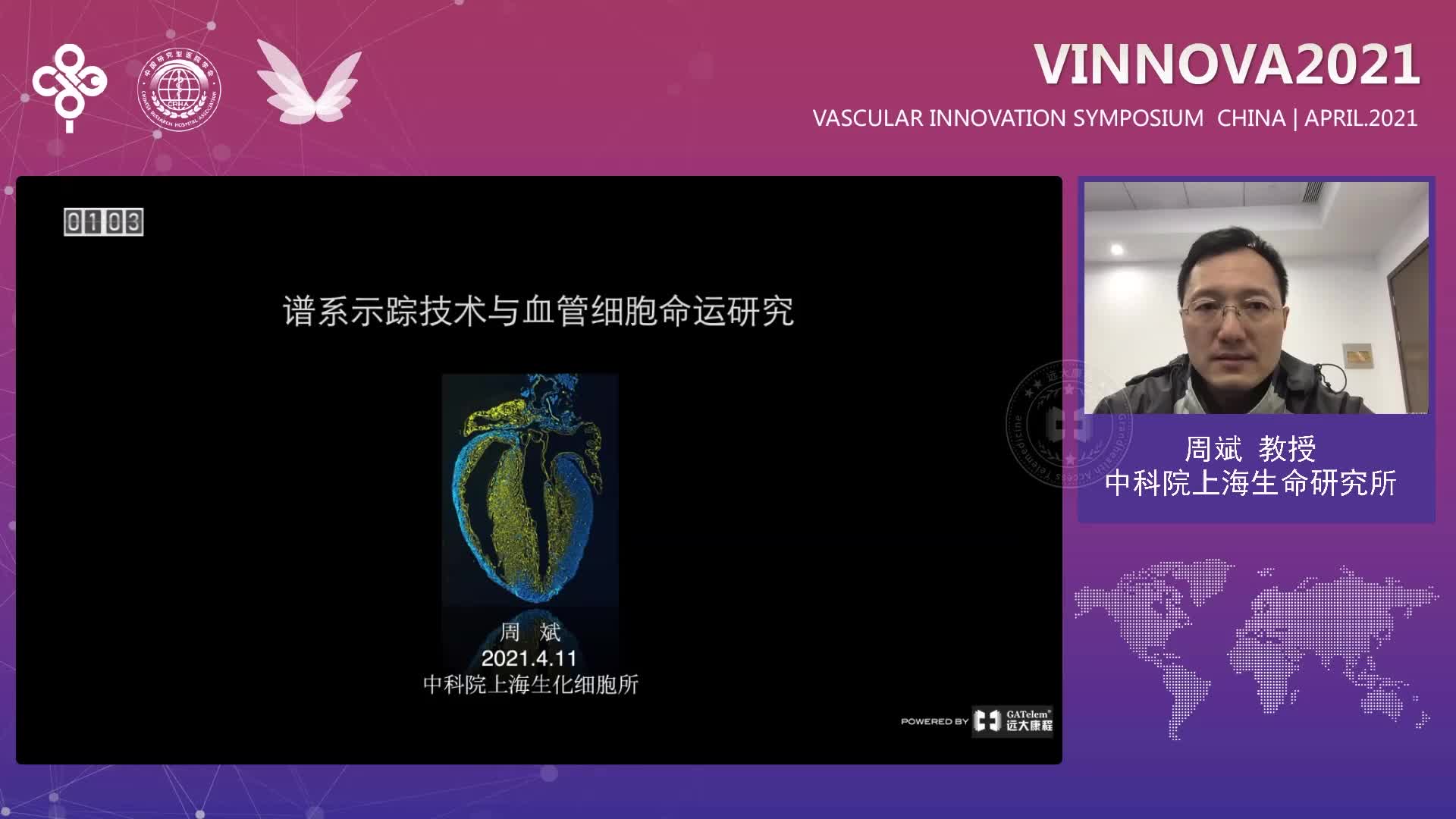周斌-普系示踪技术与血管细胞命运研究 