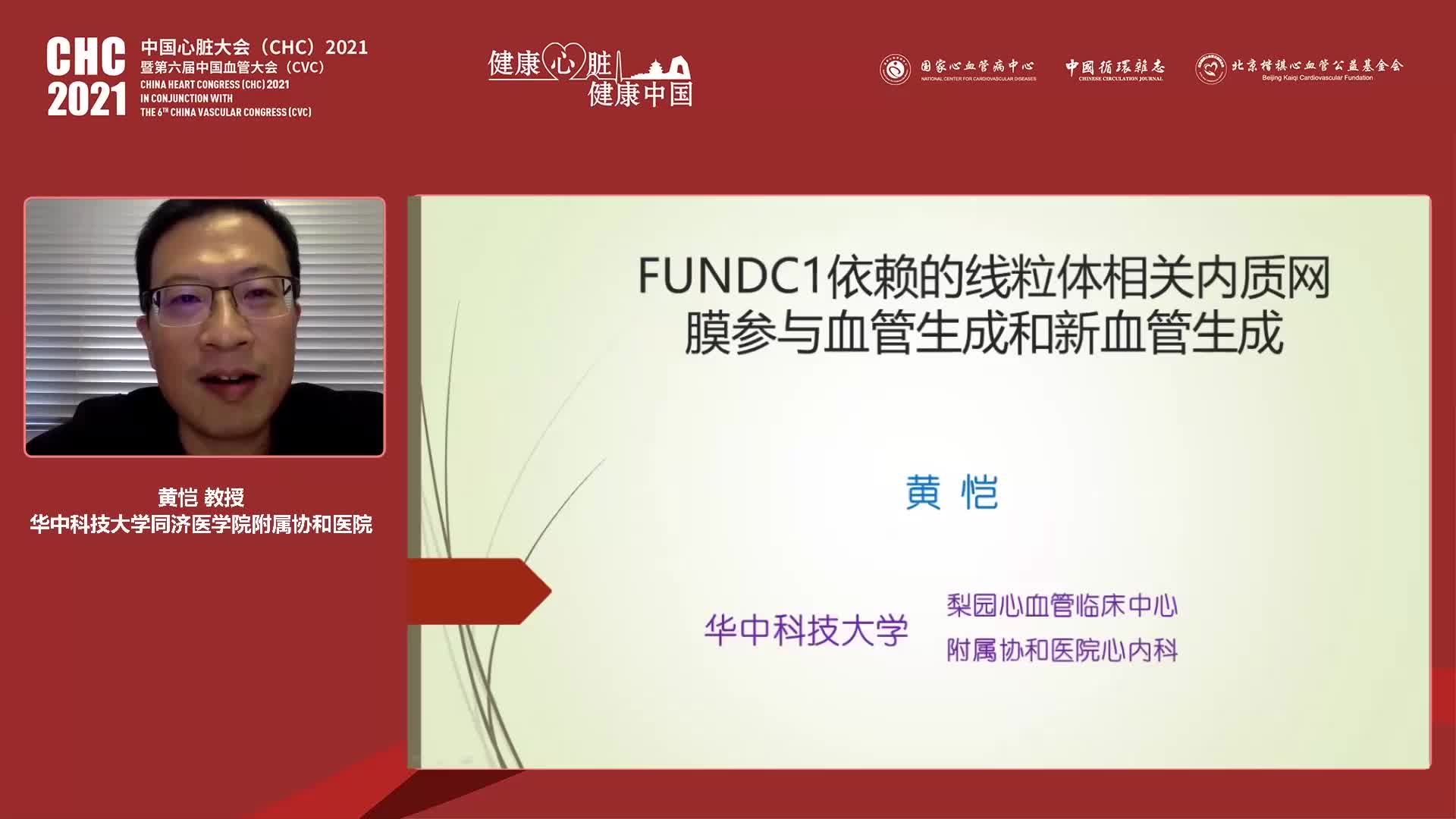 黄恺 FUNDC1依赖的线粒体相关内质网膜参与血管生成和新血管生成